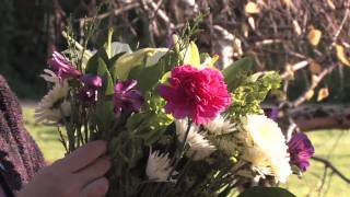 Gardening Tips  Flowers to Grow in the Sun [upl. by Lucila]