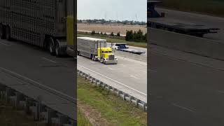 Beauty Peterbilt hauling a livestock trailer [upl. by Lednar]