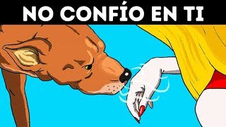 La Ciencia Confirma Que Los Perros Pueden Reconocer A Una Mala Persona [upl. by Nnyladnarb]