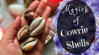 The Secret Spiritual Powers Of Cowries how to use Cowries to Attract Money Love Favour [upl. by Hermine200]