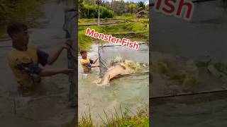 Monster Fish 😳 fyp fishing fish Tiktok viralvideo fishingvideo [upl. by Enneillij]