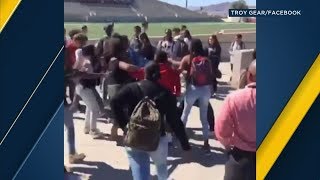 VIDEO 5 West Valley High School students arrested after fight breaks out on campus  ABC7 [upl. by Tonina]