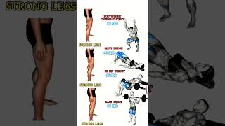 The Best Leg Exercises for Strength and Hypertrophy [upl. by Nayr]