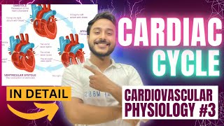 cardiac cycle physiology  physiology of cardiac cycle of heart  phases of cardiac cycle physiology [upl. by Suoicerpal]