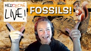 Fossil and Deathplate MICROZONE Friday Night LIVE [upl. by Airogerg]