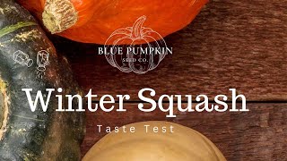 Winter squash taste test [upl. by Dehlia731]