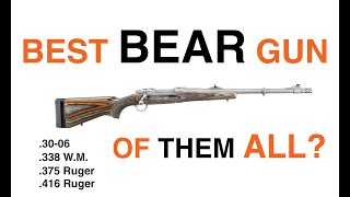 The Best Bear Gun Ever [upl. by Demahum]