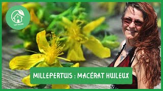 Comment faire un macérât huileux de millepertuis [upl. by Akemor389]