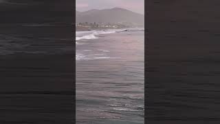 Cayucos pier jump surfsup surf pacific jump waves [upl. by Aenitsirhc]