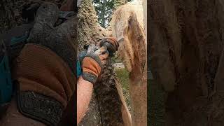 Chainsaw carved the Watcher chainsaw woodworking chainsawcarving eagle eagles [upl. by Woodring]