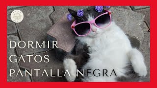 Música para dormir GATOS ADULTOS 5 minutos PANTALLA NEGRA 🐱 Música relajante para GATOS ESTRESADOS 🐱 [upl. by Brooke]