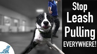 How To Teach Your Dog Not To Pull On The Leash EVER [upl. by Hacim]