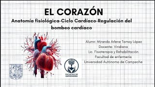 El corazón AnatomiaCiclo CardíacoRegulación de bombeo cardíaco [upl. by Collen]