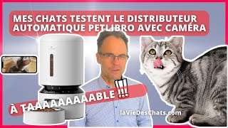 MES CHATS TESTENT LE DISTRIBUTEUR AUTOMATIQUE PETLIBRO AVEC CAMÉRA [upl. by Ellenar]