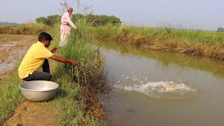 Fishing Video  The old grandfather knows many tricks of fishing in the village canal [upl. by Adlar]