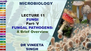 Fungal Pathogens A Brief Overview [upl. by Oyr]