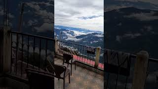 Darjeeling Hill  shorts  video  subscribe [upl. by Groeg120]