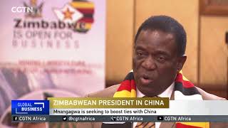 INTERVIEW Oneonone with Zimbabwes President Emmerson Mnangagwa [upl. by Jourdan]