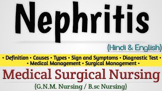 Nephritis  Nephritis In Hindi  Lupus nephritis  Glomerulonephritis [upl. by Yrram511]