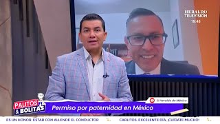 Permiso por paternidad en México [upl. by Nay]