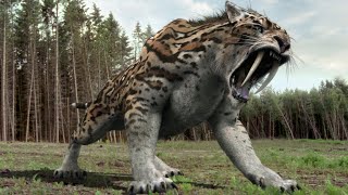 primeval smilodon saber tooth cat screen Time [upl. by Ahseal]