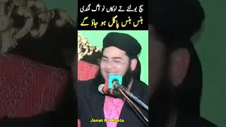 Nasir Madni Funny Video shorts [upl. by Enortna]