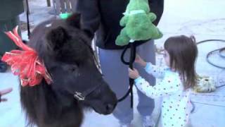 CHRISTMAS SURPRISE SANTA BROUGHT YOU A PONY  MINI HORSE [upl. by Verine]