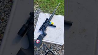 QUIETEST Rifle Shooting the SMALLEST Spinner Target youtubeshorts silent target [upl. by Kleeman]