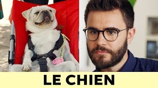 PRESQUE ADULTES EP2  LE CHIEN [upl. by Lazaruk]