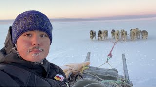 Inuit youth embrace dog sledding in Nunavut [upl. by Ainaled]