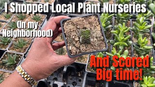 396 Shopped Local Plant Nurseries Close To Home  Great Prices  Cacti amp Succulents  Potting Too [upl. by Enyawud]