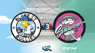 Blake St Bullies v Shenanigans  Div 3  26th November  IceHQ Rec League ice hockey [upl. by Enitsrik]