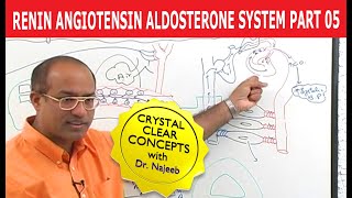 Renin Angiotensin Aldosterone System  RAAS Part 5👨‍⚕️ [upl. by Raskin]