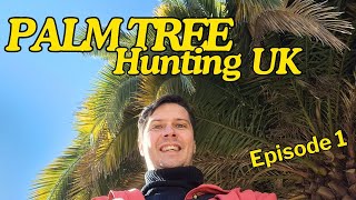 Palm Tree Hunting UK Episode 1 [upl. by Britt]