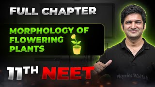 Morphology of Flowering Plants FULL CHAPTER  Class 11th Botany  Arjuna NEET [upl. by Averil790]