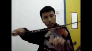 The Corrs  The Minstrel Boy Violin Cover [upl. by Atiuqram]