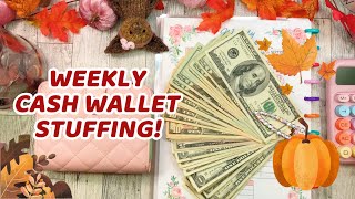 WEEKLY CASH WALLET STUFFING [upl. by Itirp]