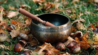 Energy Cleansing  Heals Emotionally Physically and Mentally  Tibetan Singing Bowl Sound KOSHI [upl. by Nna]