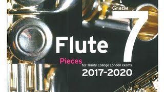 Poulenc Flute Sonata Cantilena  2nd movement  Grade 7 Trinity Flute [upl. by Laertnom]