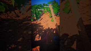 Farming shorts video a few acres farm farmerboy [upl. by Eitsud]