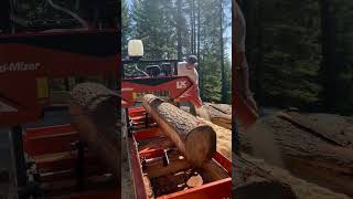 Bark dirt grit… that’s got to go Before milling lumber you clean up the dirty logs sawmill [upl. by Odele]