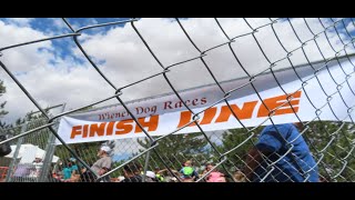 Riverfest Wiener Dog Races 2024 05 25 [upl. by Suoinuj822]