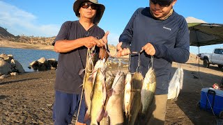 Millerton Lake Fishing [upl. by Baiel376]