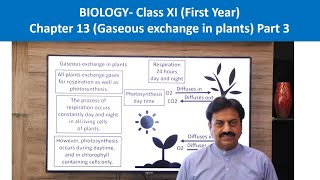 Gaseous exchange in plants  First Year  Chapter 13  Part 3 [upl. by Htebiram960]