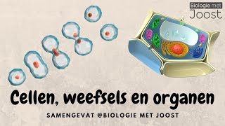 Cellen weefsels en organen  Samenvatting [upl. by Niraj]