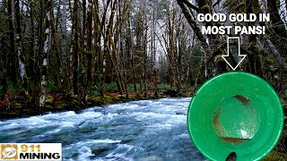 Gold Panning On A Beautiful Gold Bearing Creek [upl. by Lamont496]