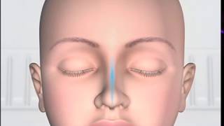 Spiritual Reality of Meditation  Absorption of Cosmic Energy  Detailed Explanation  ENGLISH [upl. by Leroj]