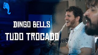 Tudo trocado  Dingo Bells  ELEFANTE SESSIONS [upl. by Leima927]