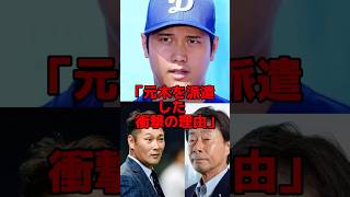 「わざとだろ！」大谷に取材拒否されたフジテレビが元木を派遣した本当の理由…プロ野球 海外の反応 mlb 大谷翔平 フジテレビ [upl. by Neirol]