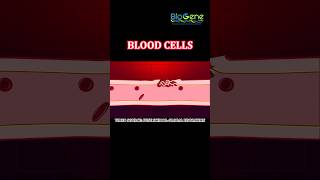 Blood Clotting trending learn science biology [upl. by Janicki]